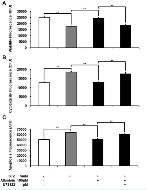 Figure 5 ApoTox-Glo Triplex assay showing the viability (A), cytotoxicity (B), and apoptosis (C) of β-cells in rats treated with 5 mM streptozotocin (STZ), 5 mM STZ + 100 µM allantoin, 5 mM STZ + 1 µM U73122 + 100 µM allantoin ( n = 6 for each group)