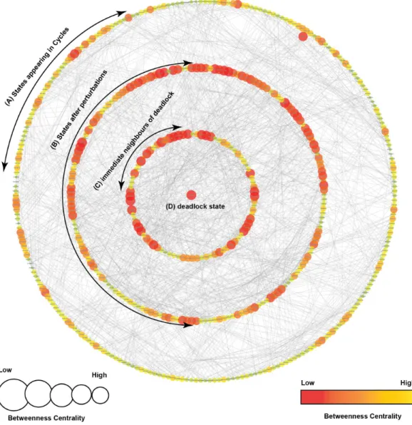 Figure 5 State Graph (rendered using Cytoscape) with 512 nodes and 2,304 edges. Each node in the graph, shown as a circle, represents a unique state characterized by the expression levels of individual genes