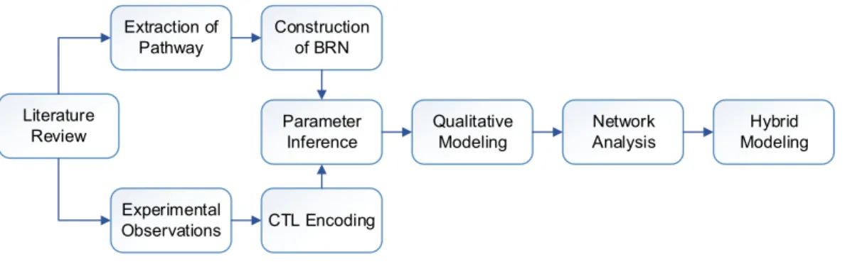 Figure 2 Flow diagram of the study showing sequence of methods.