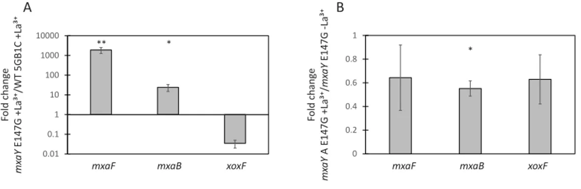 Figure 3 MxaY E147G is a constitutively active version of MxaY. (A) Real-time qRT-PCR was per- per-formed on RNA harvested from wild-type and MxaY E147G (FC78) M