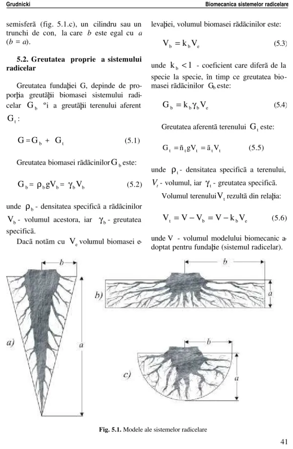 Fig. 5.1. Modele ale sistemelor radicelare 