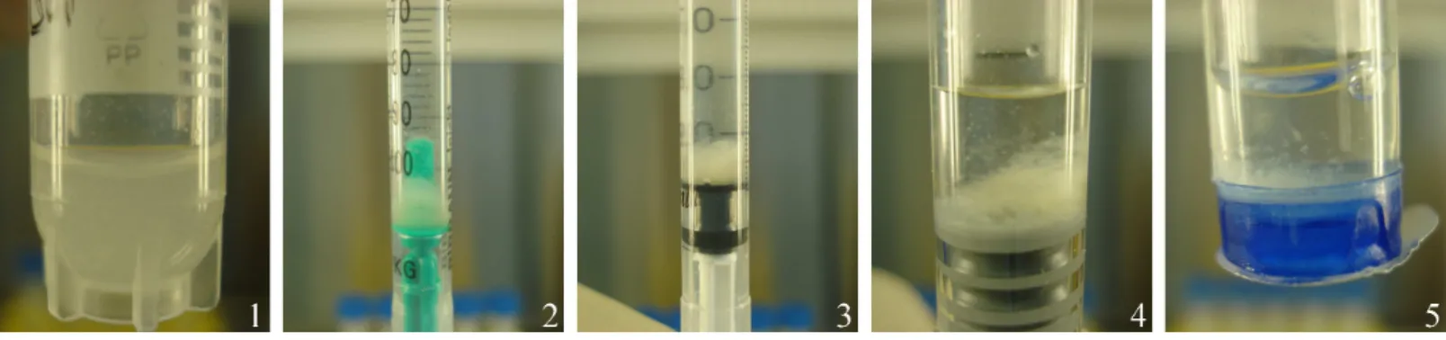 Figure 4 Part I: representative images of the five transport containers after 24 h ‘‘transportation’’ and before gentle agitation to dissolve the cell pellet formed at the bottom of the container: (1) cryotube, (2) plastic syringe/plastic tipped plunger, (