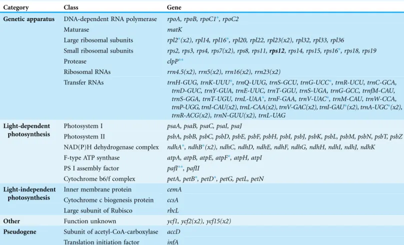 Table 2 Gene contents in Primula sinensis chloroplast genome (112 genes, two pseudogenes).
