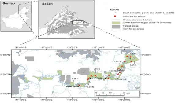 Figure 1 Map of study site. The Lower Kinabatangan Wildlife Sanctuary, Sabah, Malaysia (English et al., 2014b)