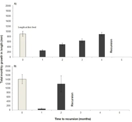 Figure 4 Recursion to grasses. Recursion to grasses showing the average length of the grass stem when initially fed on (shaded bar) and the average total length of new shoots per month until recursion occurred, for two grass species (A) Phragmites karka an