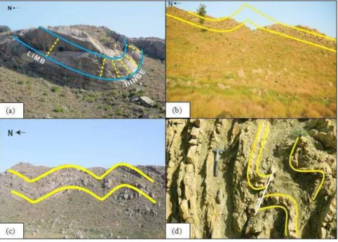 Fig.  5  Outcrop  pictures  showing  east-west  orientation  similar  to  the  orientation  of  regional  structures:  (a)  Concentric  parallel  synform  (Awais  et  al.,  2012  and  2013);  (b)  antiform,  (c)  antiforms  and  synforms  and  (d)  mesocop