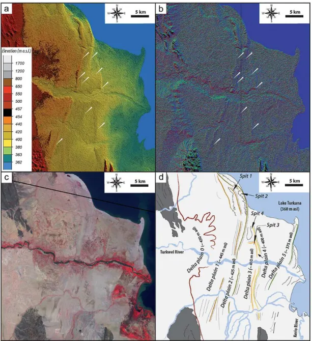 Figure 2. Turkwel delta complex. For location, see Fig. 1b. (a) Raw digital elevation model SRTM1 of the Turkwel delta