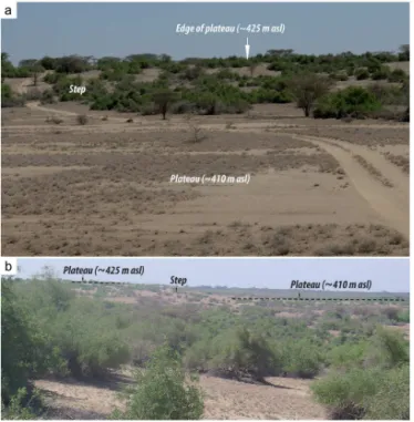Figure 4. Landforms from the Turkwel delta. (a) Front view of a step grading downward to a plateau