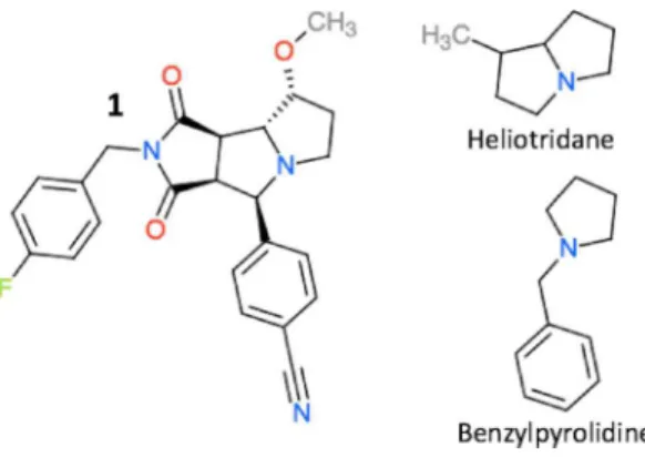 Figure 3 The structure of compound 1, heliotridane, and benzylpyrolidine.