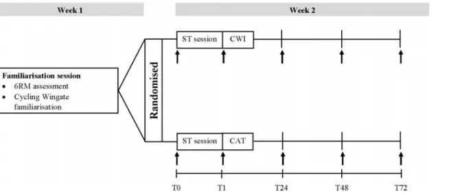 Figure 1 Schematic of research design. Schematic of the research design including cold water immersion (CWI) group and cold air therapy (CAT) group with indirect markers of muscle damage (i.e
