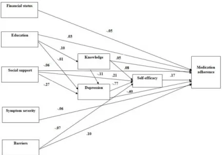 Figure 1.  A hypothesized model testing medication adherence among post- acute MI patients