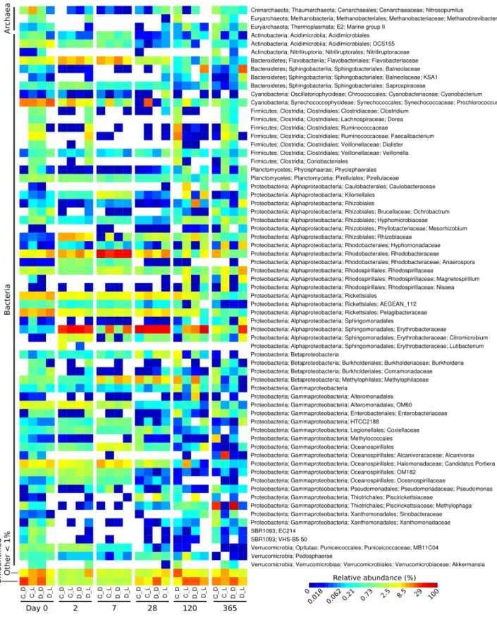 Figure 1 Heatmap showing the relative abundance of microbial genera over the one-year Cape Ferguson diuron incubations