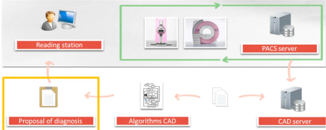 Figure 1: CAD embedded in the clinical cycle of breast imaging. The input images need to be stored and available for review with the integration of CAD and PACS.
