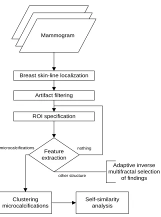 Fig.  1.    Proposed  microcalcification  detection  model.  The  first  three  blocks  of the flow are pre-processing steps before the core feature extraction, where  the  method  for  multifractal  image  analysis  is  employed