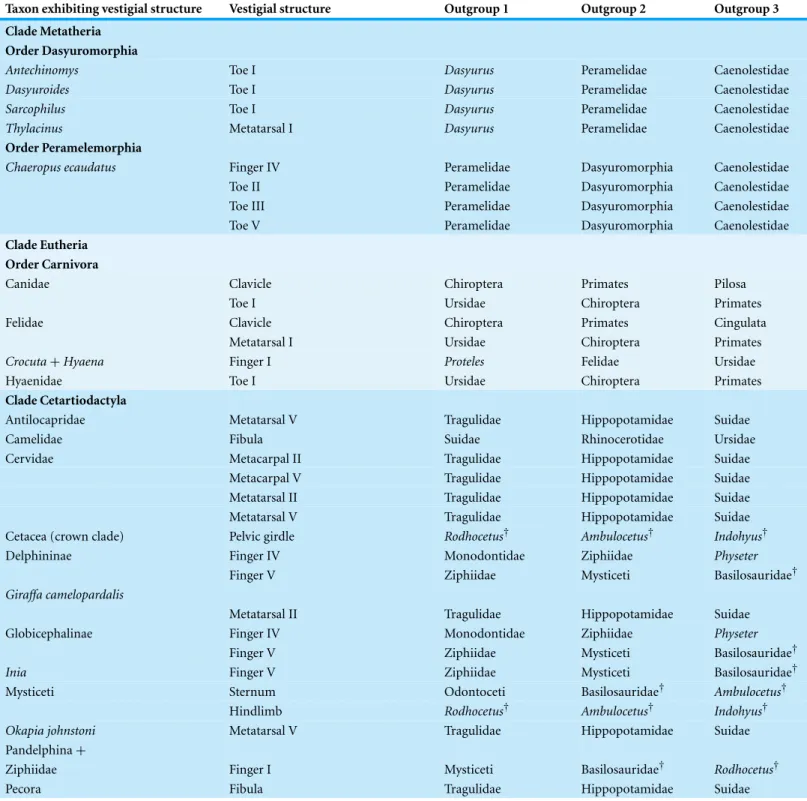 Table 2 Outgroup lists. Vestigial skeletal structures in mammalian taxa, and successive outgroups with unreduced homologs of those structures, demonstrating that such structures are vestigial