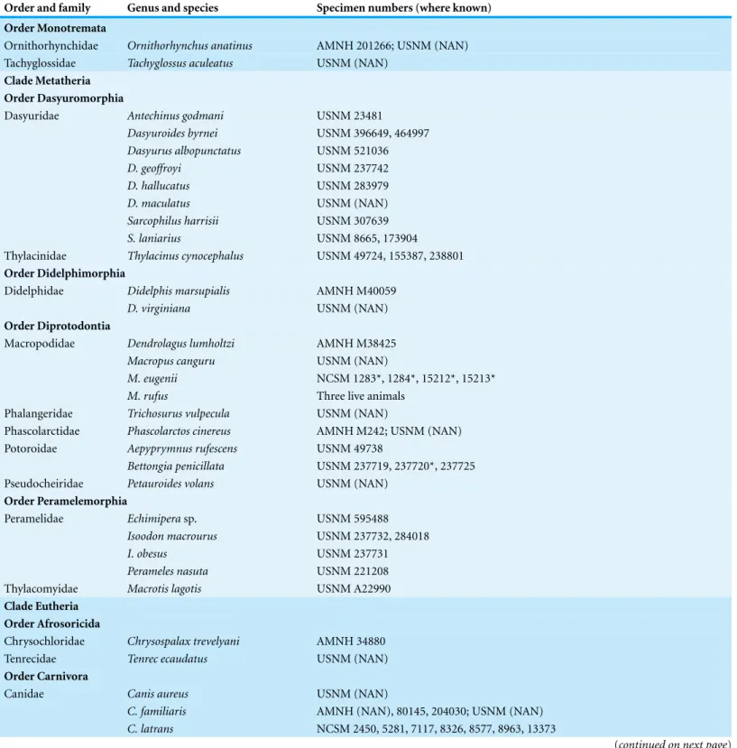 Table 1 List of examined specimens. Specimens examined for this study. Asterisks indicate skins; all other listed specimens are skeletal except where noted