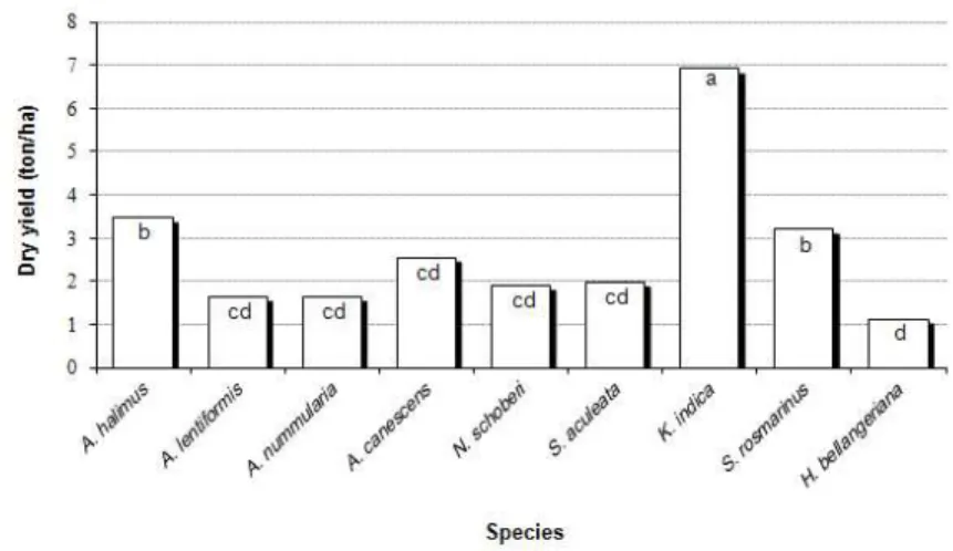 Fig. 4. Comparison of dry yield (ton/ha) of halophyte species          ﻪﻧﻮﮔ ياﺮﺑ ﻚﺸﺧ ﻪﻓﻮﻠﻋ دﺮﻜﻠﻤﻋ راﺪﻘﻣ ﻖﻴﻘﺤﺗ ﻦﻳا رد A