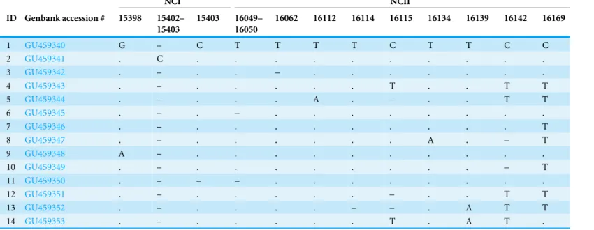 Table 1 Polymorphic sites among 14 mtDNA haplotypes from the concatenated non-coding region sequences (NC total ), relative to the most common haplotype (first entry)