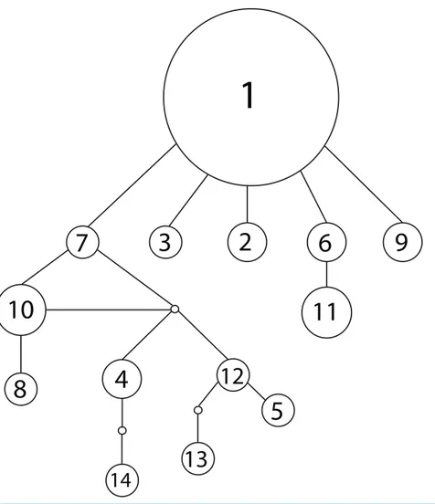 Figure 1 Haplotype network for 14 concatenated mtDNA haplotypes found in Lake Champlain, constructed using TCS v1.2.1 with 95% parsimony