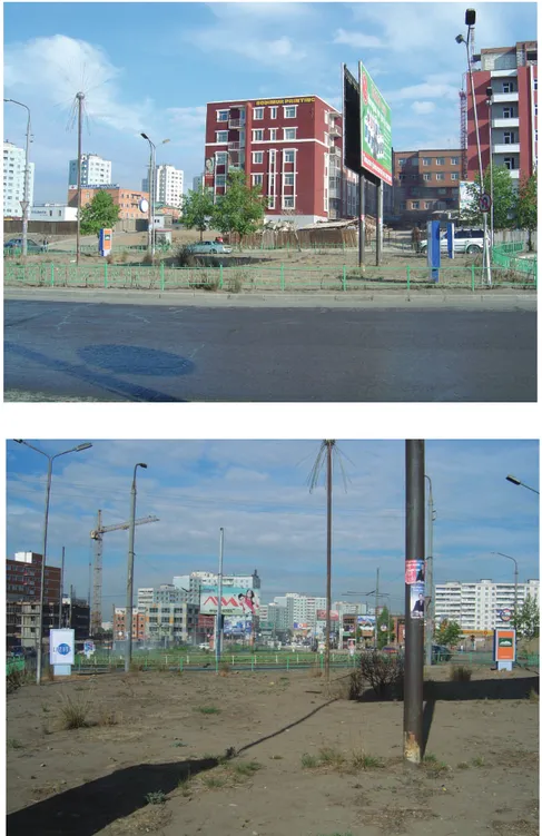 Figure 3. Two of the examples of many “empty gardens” in the streets of Ulaanbaatar city where the newly  planted trees and other horticultural plants suffer and fail to survive due to lack of maintained care and  sup-port