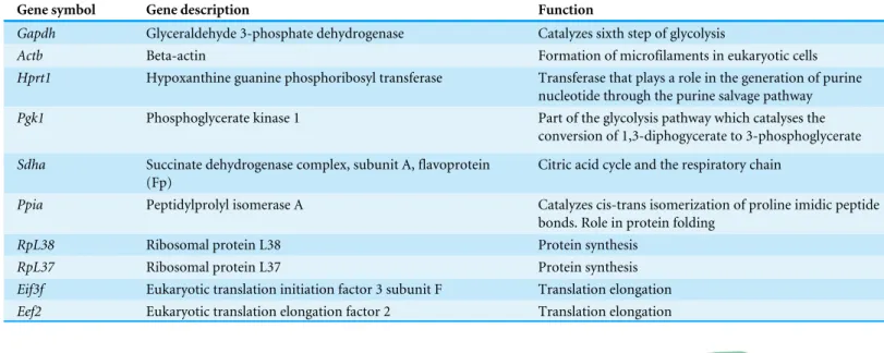 Figure 1 Brain developmental stages used in this study. In mice gonadal sex determination occurs at