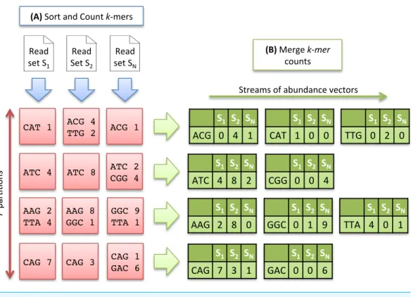 Figure 2 Multiset k-mer Counting strategy with k = 3. (A) The sorting counting process, represented by a blue arrow, counts datasets independently