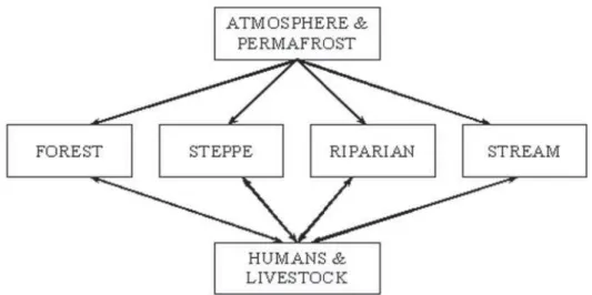 Figure 2. An example of data pathways connecting separate components of the Hövsgöl ecosystem model
