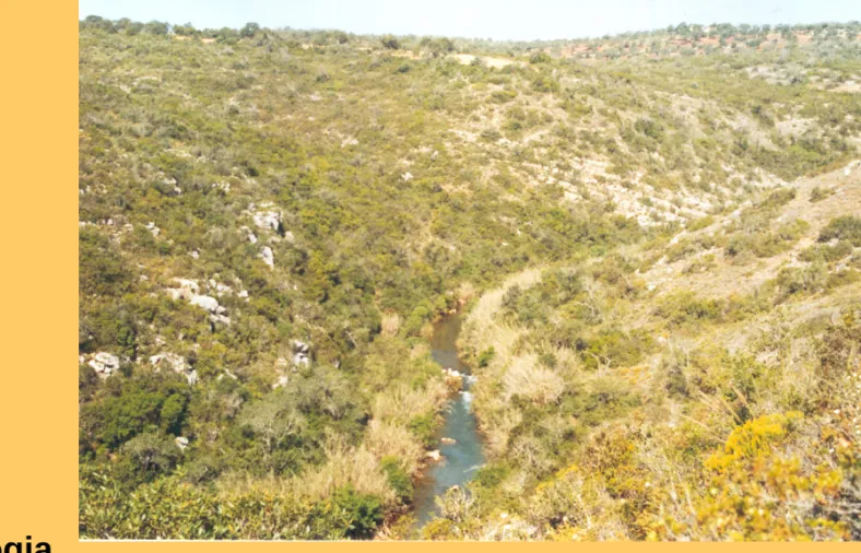 Figura 4 – Aspecto do vale da  ribeira de Quarteira.