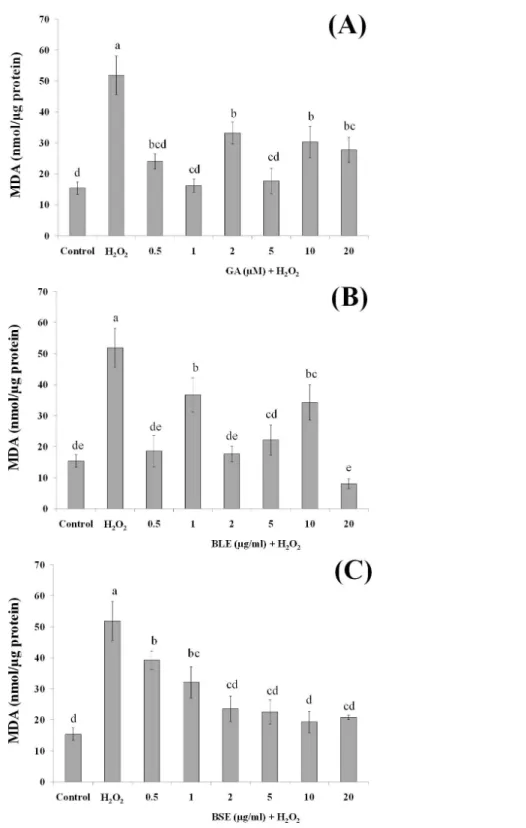 Figure 5 The effects of (A) gallic acid, (B) BLE and (C) BSE on lipid peroxidation of HepG2 cells fol- fol-lowing H 2 O 2 -induced oxidative damage