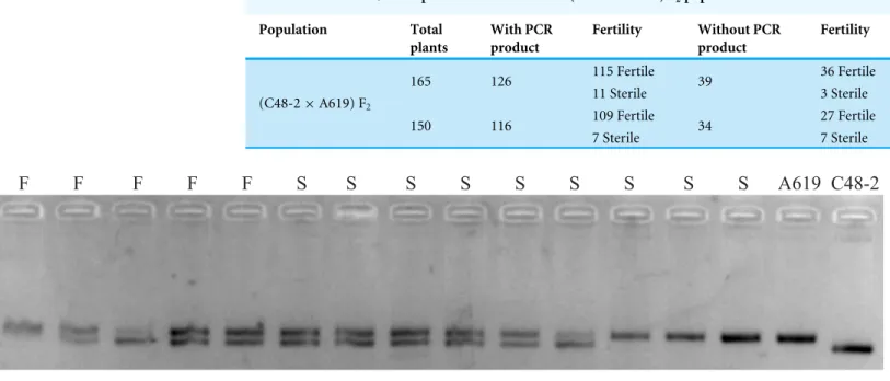 Table 2 Primers F2/R2 amplification results in the (C48-2 × A619) F 2 population. Population Total plants With PCRproduct Fertility Without PCRproduct Fertility 115 Fertile 36 Fertile 165 126 11 Sterile 39 3 Sterile 109 Fertile 27 Fertile(C48-2×A619) F2 15