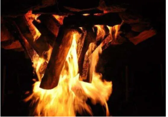 Figure  6.  Upside-down  static  campfire  image  used  in  study  3  to  control  for  structural  features of a normal fire 