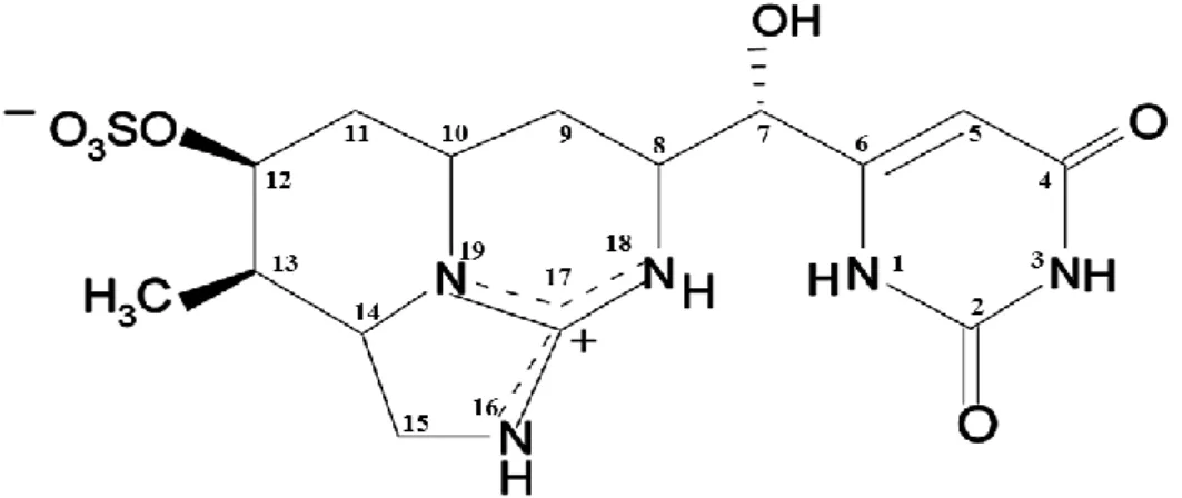 Figura 1.3.1. 1 – Estrutura química de cilindrospermopsina 