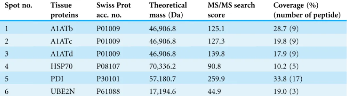 Table 1 Identification of spots from 2DE tissue protein profiles using LC MS/MS Q-TOF.