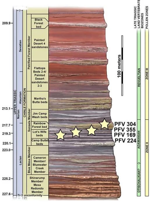 Figure 2 Regional stratigraphy of the Petrified Forest area showing the stratigraphic position of the localities discussed in the text