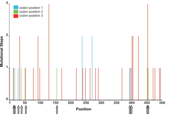Figure S1 Electropherograms from sample Bam73, which contains more than one virus isolate (Top row: forward sequence;