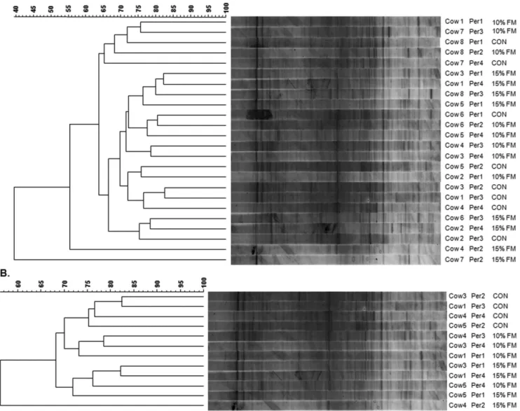 Figure 4. PCR-DGGE-derived unweighted pair group method with arithmetic mean (UPGMA) dendograms showing the effect of flax meal inclusion on the rumen microbiota