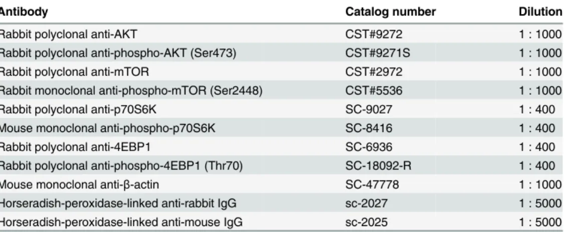 Table 5. Antibodies and dilution used for Western blot analyses.