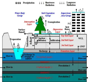 Fig. 6. A schematic view of WEP model structure. Adapted from Jia et al. (2009).