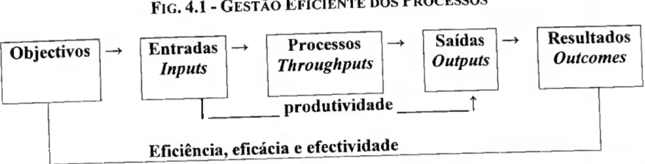 Fig. 4.1 - Gestão Eficiente dos Processos  Objectivos  Entradas  - 
