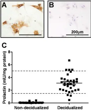 Figure 1. Purity of isolated extravillous trophoblast (EVT) and prolactin secretion by human endometrial stromal cells following decidualization treatment