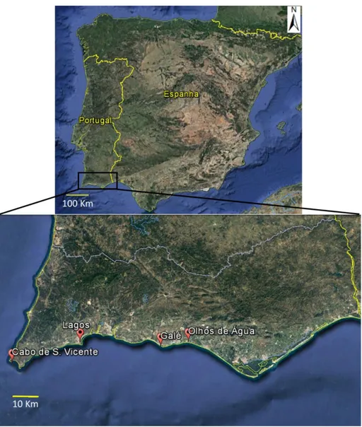 Figura 2.1 – Localização da área de estudo em relação à Península Ibérica. Fonte: Google TM  earth