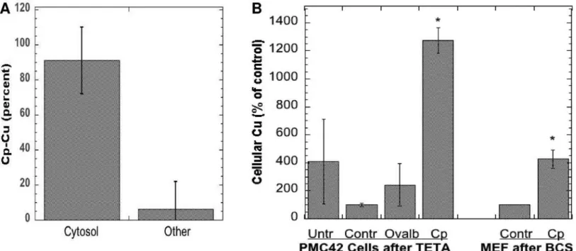 Fig 4. Internalization of Cp copper upon incubation with WT and Ctr1 null fibroblasts with Cp