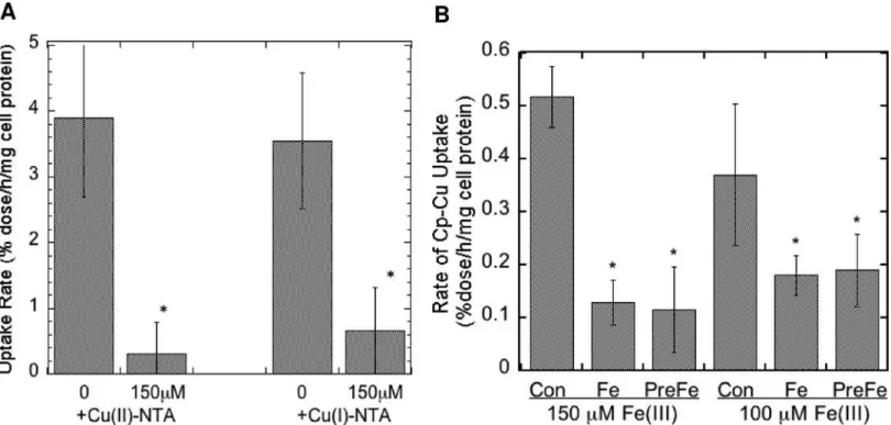 Fig 8. Inhibition of uptake of 64 Cu from Cp by an excess of non-radioactive ionic Cu(II), Cu(I), or Fe(III)
