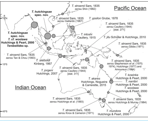 Figure 7 Map of SW Indo-Pacific Ocean. Map of SW Indo-Pacific Ocean showing locations where species of Terebellides reported in this paper were found (big circles), along with type localities of other Terebellides species previously described (medium circl