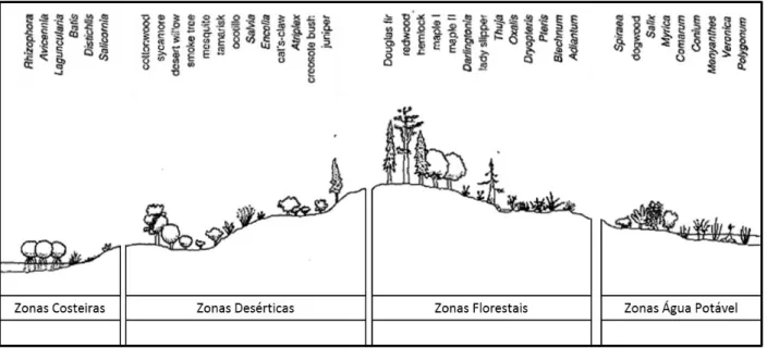 Figura 2.5 – Zonas de desenvolvimento de várias plantas  Fonte: Salisbury e Ross (1991) 