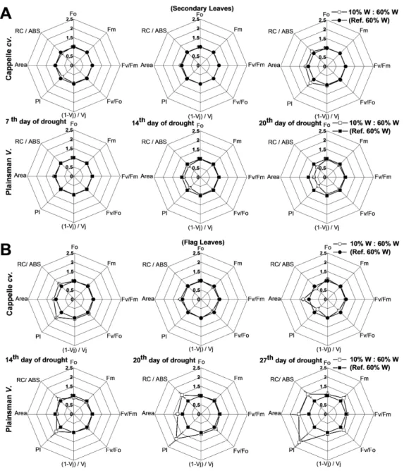 Figure 5 Deduced variable Chl a fluorescence parameters. (A) Spider graphs of various chlorophyll flu- flu-orescence parameters (F o , F m , F v /F m , F v /F o , (1 − Vj)/Vj, PI, Area, RC/Abs) are shown in the early  devel-oped secondary leaves (A) and in