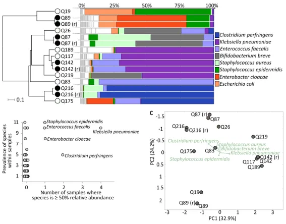 Figure 1 Healthy premature infant gut microbiome. (A) Metagenomic profiles for the eleven preterm samples and four replicates at the species level