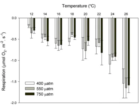Figure 7 Respiration rates of coralline algae with CO 2 and temperature after 11 months