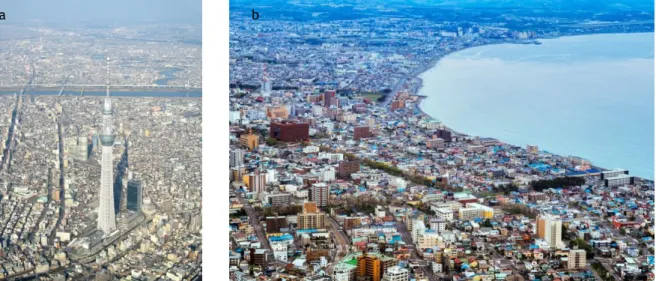Figura 1. Vista aérea da cidade de Toquio, Japão (a), Vista aérea da cidade de Hakodate, Japão (b) 