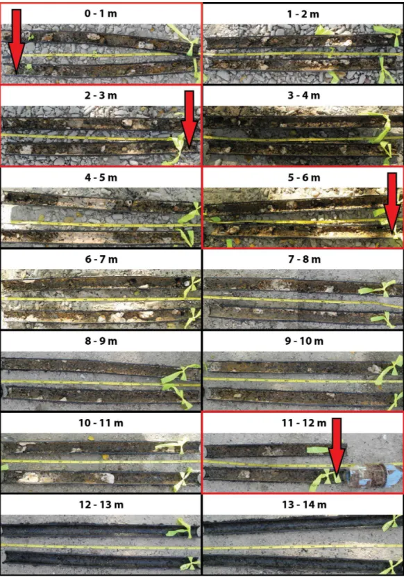 Figure 1 Biofouling communities within the old inlet pipe. The first 14 m from the entrance of the inlet pipe are shown